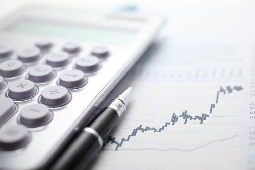 Asset vs. Stock Purchase Guide.
