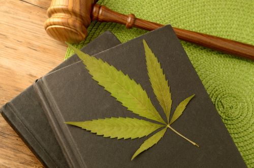 Major Medical Marijuana Employment Law Changes Coming in November 2026.